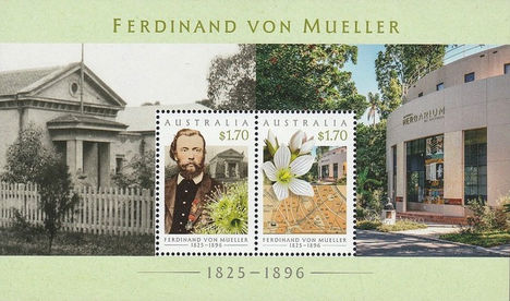Ferdinand von Müller