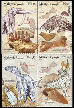 Fosszilis leletek