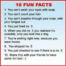 funnies44