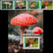 Gombak-001_2198965_3261_s