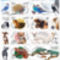 Haziallatok_2198469_2073_s
