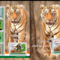 Indiai_fauna_2198958_2509_s