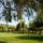 Kerekto_szabadido_kozpont-001_2198967_5425_t