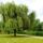 Kerekto_szk_2025_maj_19_2198027_4863_t