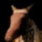 Lomumia_2198786_3808_s