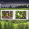 Norfolksziget_termeszete_2198394_8526_s