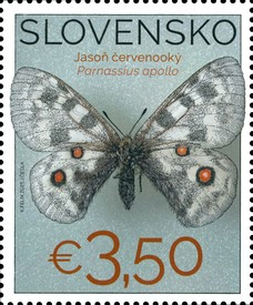 Pillangógyűjtemény