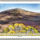Piton_de_la_fournaise_2198039_7948_t