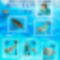 Tengeri_lenyek-001_2198757_3272_s