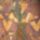 Urno_2198091_4664_t
