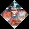 Vedett_tengeri_fajok-005_2198167_3386_s