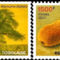 Afrikai_baobab_2199808_1155_s