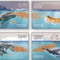 Antarktiszi_krill_2199205_4352_s