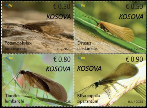 Endemikus fauna