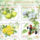 Flora_2199603_5650_t