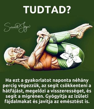 Hátfájás, visszér, migrén, izületi fájdalmak, emésztés javítása