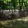 Holtfasoveny_a_nepligetben_fokert_2199202_5254_t
