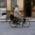 Mon_oncle__a_nagybacsim_jacques_tati_1958_2199463_3699_t