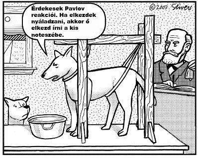 Pavlov kutyája