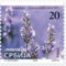 Vegleges_belyegek_2199199_7705_s