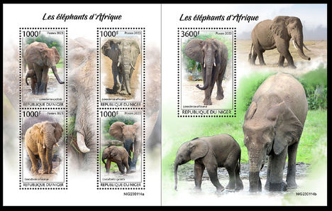 Afrikai elefántok