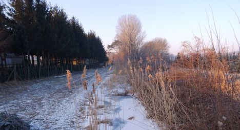 Befagyott a Hidegkúti (Hédervár-Darnózseli) csatorna, Hédervár község belterületi szakasz, 2017. január 11.-én 2