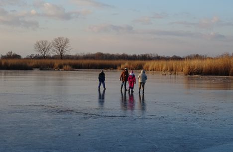 Befagyott a Holt-Duna, a gyerekek nagy örömére korcsolyapályává változott, Lipót 2017. január 07.-én  1