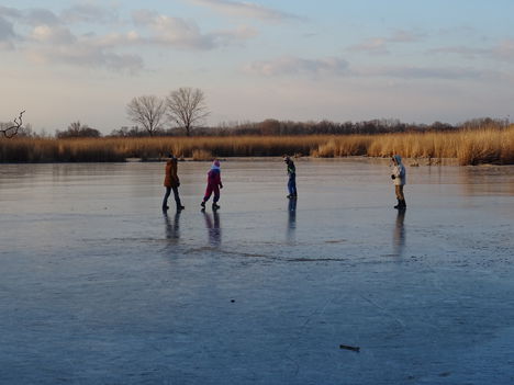 Befagyott a Holt-Duna, a gyerekek nagy örömére korcsolyapályává változott, Lipót 2017. január 07.-én  3