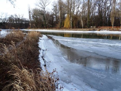 Befagyott a Mosoni-Duna folyó a Kálnoki híd alatti szakaszon, Mosonmagyaróvár 2017. január 14.-én 1