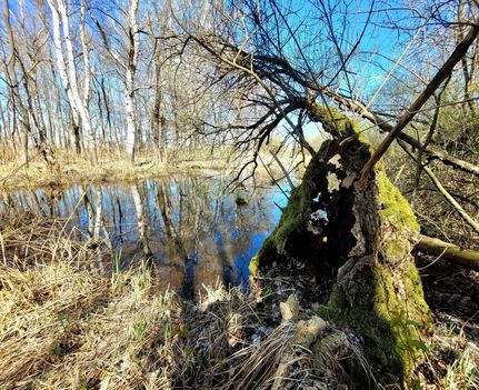Csodálatos a természet, Nováki csatorna Szigetköz