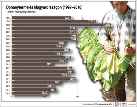 Dohánytermelés