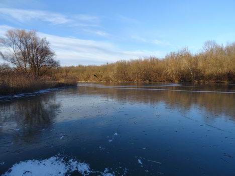 Fagyos viszonyok a Zátonyi-Duna felső szakaszán, a Sári csárda melletti partszakaszon, Dunakiliti 2017. január 07.-én 2