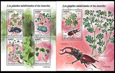 Gyógynövények és rovarok