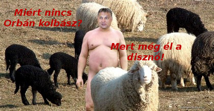 Orbán Viktor disznó