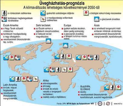 vegházhatás