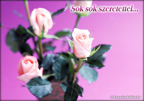 3 szál rózsaszín rózsa