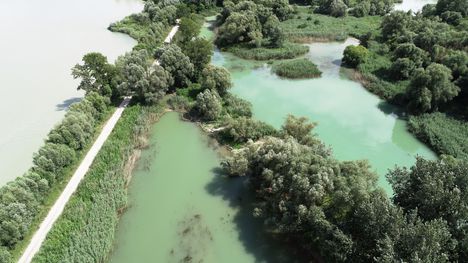 Ferde gát  a Görgetegi Duna-ág alsó szakaszán, Dunasziget-Dunakiliti 2019. július 09.-én