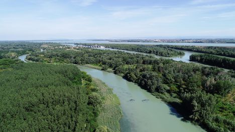 Görgetegi Duna-ág a Lénai kiágazás felett, Dunakiliti  2019. július 17.-én