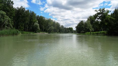 Hatvanasi Duna-ág a Hatvanasi bukó felvizi oldalán, Lipót 2016. július 14.-én