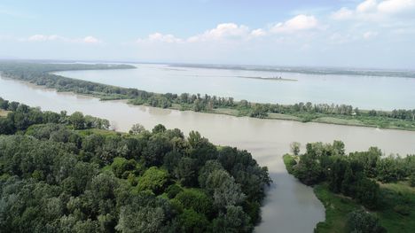 Öregréti töltőbukó a Duna folyam 1945,9 fkm, Dunakiliti 2019. június 20.-án