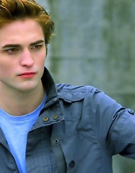 rob-twilight-series-5363426-308-393