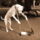 Takarito_210960_48603_t