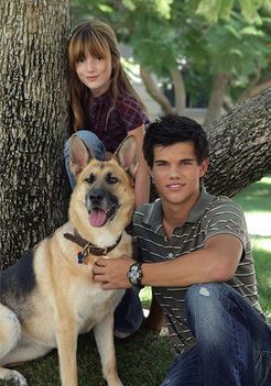 Taylor-Lautner-twilight-series-5507160-350-500