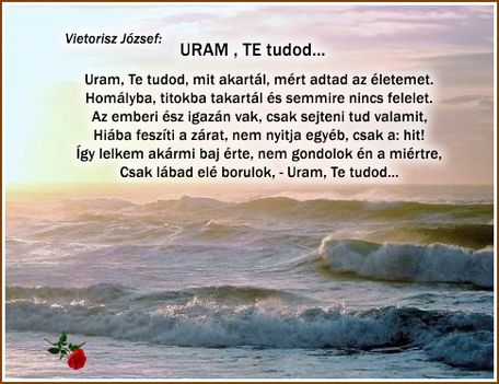 URAM , TE tudod...