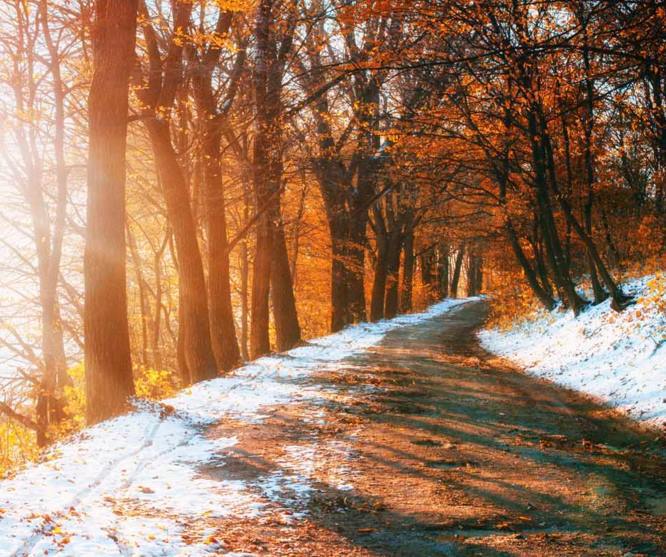Termeszet Ady Endre Kocsi Ut Az Ejszakaban Kep