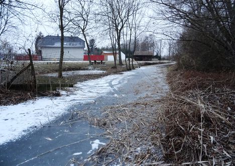 Befagyott a Hidegkúti  (Hédervár-Darnózseli ) csatorna, Darnózseli 2017. január 24.-én  3