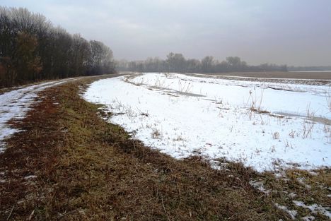 Befagyott a Lajta főmeder a jobb parti szivornya melletti szakaszon, 2017 január 27   (1)