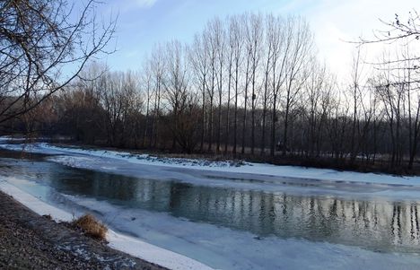 Befagyott a Mosoni-Duna a  Mosonmagyaróvár, Partos utca és az Aranyossziget közötti szakaszon, Moson 2017. január 16.-án 1