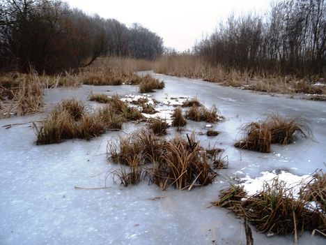 Befagyott a Nováki csatorna ami a Halászi (Arak) és Darnózseli községek közigazgatási határán is végig húzódik, 2017 január 31 (2)