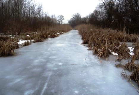 Befagyott a Nováki csatorna ami a Halászi (Arak) és Darnózseli községek közigazgatási határán is végig húzódik, 2017 január 31 (3)